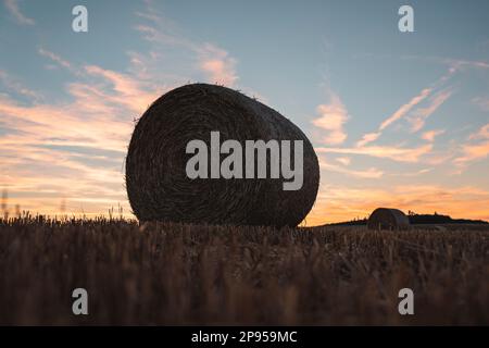 Paille, champ, balles de paille, coucher de soleil, Jura souabe, Bade-Wurtemberg, Allemagne, Europe Banque D'Images