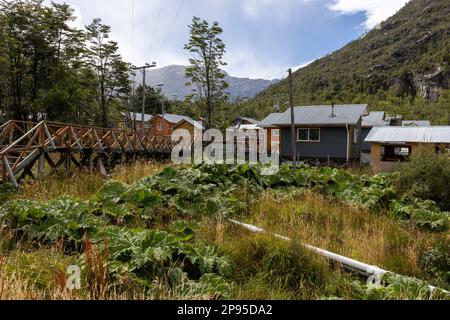 Petites maisons colorées et plantes de nalca le long des chemins en bois de Tortel, Patagonie, Chili Banque D'Images