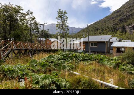 Petites maisons colorées et plantes de nalca le long des chemins en bois de Tortel, Patagonie, Chili Banque D'Images