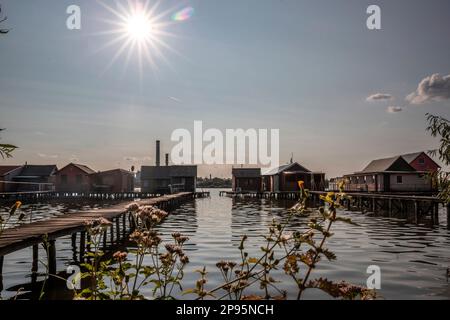 Bokodi Hor szsrégek, village flottant en Hongrie, jetées allant dans un lac à des maisons de vacances, maisons de pilotis au coucher du soleil Banque D'Images