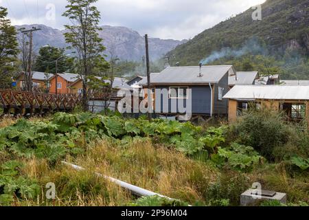 Petites maisons colorées et plantes de nalca le long des chemins en bois de Tortel, Patagonie, Chili Banque D'Images