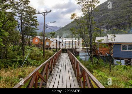 Petites maisons colorées et plantes de nalca le long des chemins en bois de Tortel, Patagonie, Chili Banque D'Images