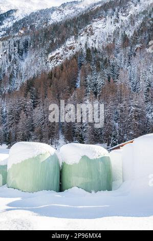 Une balle de foin recouverte de neige enveloppée de papier d'aluminium vert fournira de la nourriture aux animaux de ferme pendant l'hiver de montagne Banque D'Images