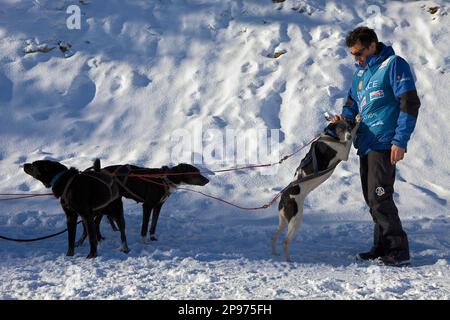 Pirena. Course de chiens de traîneau dans les Pyrénées en passant par l'Espagne, Andorre et la France. La Molina. Province de Gérone. La Catalogne. Espagne Banque D'Images