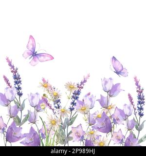 Composition aquarelle, bordure aux herbes et fleurs sauvages, feuilles, papillons. Illustration botanique sur fond blanc. Modèle avec place pour t Banque D'Images