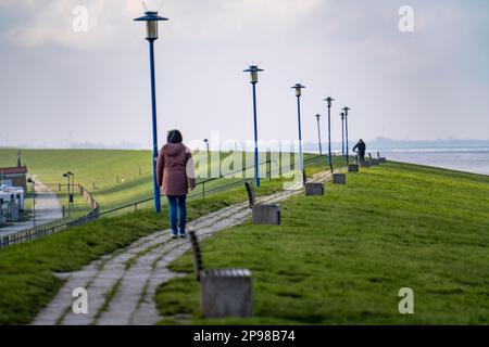 Digue de la mer du Nord, près du village de Neuharlingersiel, Basse-Saxe, Allemagne Banque D'Images