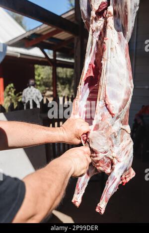 latins méconnaissables faisant un agneau suspendu à l'extérieur de sa maison de campagne. Traditions patagoniennes Banque D'Images