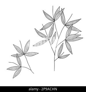 Bambou feuilles branche simple de style linéaire vecteur illustration contour, plante japonaise traditionnelle, oriental décoratif ornement pour le design, salutation ca Illustration de Vecteur