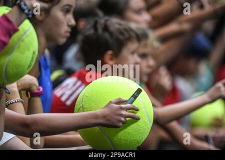 Jeunes fans italiens à la finale de la coupe Davis, Groupe A (Unipol Arena, Bologne) Banque D'Images