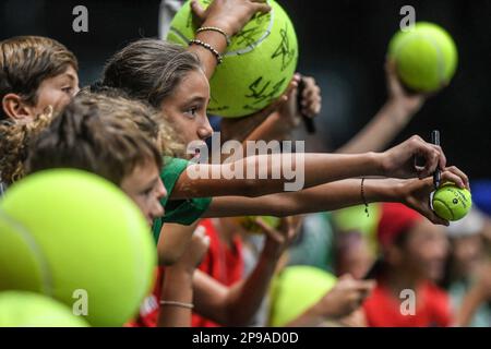 Jeunes fans italiens à la finale de la coupe Davis, Groupe A (Unipol Arena, Bologne) Banque D'Images