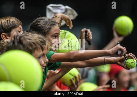 Jeunes fans italiens à la finale de la coupe Davis, Groupe A (Unipol Arena, Bologne) Banque D'Images