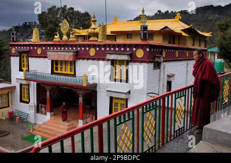 Les moines, en boîtiers DIP Tse Chok Ling Monastery.McLeod Ganj, Dharamsala, Himachal Pradesh, Inde, Asie Banque D'Images