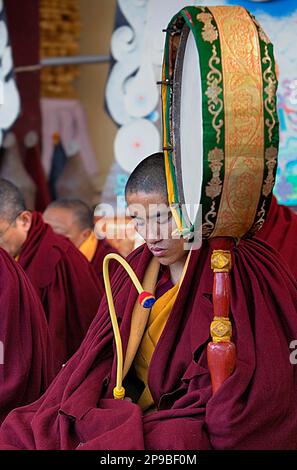 Puja, Monks priant pendant le nouvel an de Losar, dans le monastère de Namgyal, dans le complexe de Tsuglagkhang. McLeod Ganj, Dharamsala, État de l'Himachal Pradesh, Inde, Asie Banque D'Images