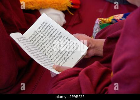 Puja, Monks priant pendant le nouvel an de Losar, dans le monastère de Namgyal, dans le complexe de Tsuglagkhang. McLeod Ganj, Dharamsala, État de l'Himachal Pradesh, Inde, Asie Banque D'Images