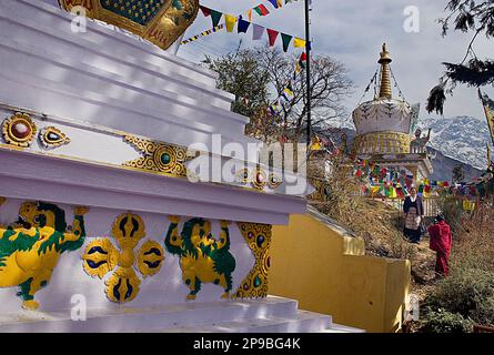 Stupas dans Lhagyal Ri, près de Tsuglagkhang complex,McLeod Ganj, Dharamsala, Himachal Pradesh, Inde, Asie Banque D'Images