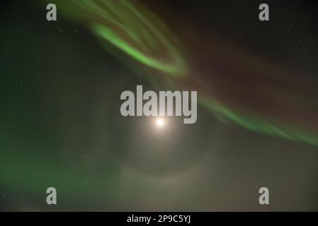 Magnifique Aurora Borealis vu dans le nord du Canada pendant la saison hivernale. Vert, rouge et violet. Prise à Emerald Lake, territoire du Yukon. Banque D'Images