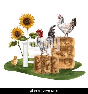 Composition d'un fermier de piles de foin parfumé, de tournesols colorés, de poulet jaune, de poulet et de coq dans un pré. Pour cartes postales, textiles, livres Banque D'Images