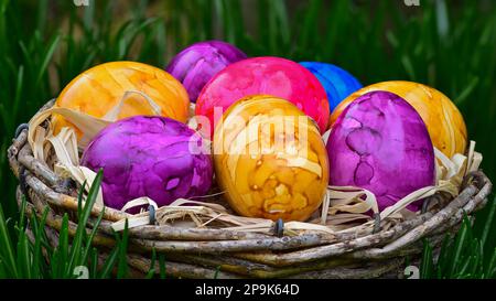 Œufs de Pâques bouillis peints en couleurs dans le panier extérieur dans l'herbe Banque D'Images