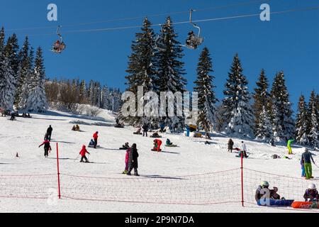 Pistes de ski pour débutants et personnes profitant de la journée d'hiver ensoleillée à Aleko Hut dans la montagne Vitosha au-dessus de Sofia, Bulgarie, Europe de l'est, Balkans, UE Banque D'Images