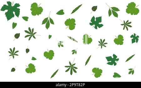 Abstrait feuilles vertes printemps, été vecteur art Illustration de Vecteur