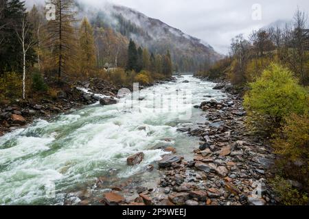 Rivière qui coule rapidement dans le Val Verzasca, Suisse, par une journée nuageuse en automne avec une brume suspendue faible parmi les arbres colorés sur les pentes de montagne. Banque D'Images