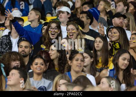 Wellington, Nouvelle-Zélande. 11th mars 2023. Joyeux fan des Hurricanes au début du match. Wellington Hurricanes vs Auckland Blues au Sky Sport Stadium de Wellington, Nouvelle-Zélande. Super Rugby. Blues gagne 25-19. (Joe SERCI - SPP) crédit: SPP Sport presse photo. /Alamy Live News Banque D'Images