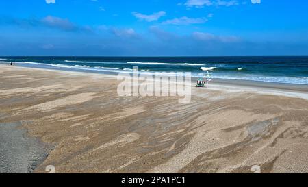 Île Amelia, FL Etats-Unis - 21 octobre 2023: La plage au parc national de l'île Little Talbot près de l'île Amelia, FL Banque D'Images