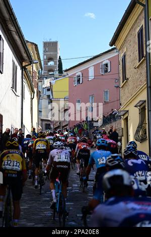 L'illustration montre le pack de cyclistes à l'étape 6 de la course cycliste de Tirreno-Adriatico, à 194 km d'Osimo Stazione à Osimo, en Italie, le samedi 11 mars 2023. BELGA PHOTO DIRK WAEM crédit: Belga News Agency/Alay Live News Banque D'Images