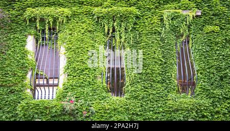 MILAN, ITALIE - VERS AOÛT 2020 - intégration de la nature et de l'immobilier dans cet ancien bâtiment italien Banque D'Images