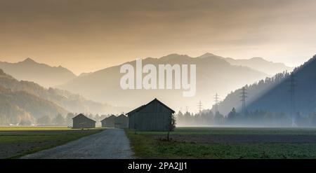 Vue sur la vallée de Praettigau, près de Klosters en Suisse, tôt le matin, avec champs de ferme et granges en bois, lignes électriques et montagnes Banque D'Images