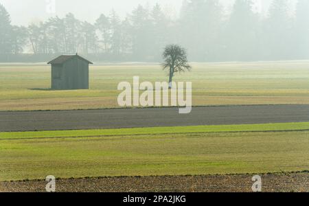 Vue sur la vallée de Praettigau, près de Klosters en Suisse, tôt le matin, avec champs de ferme et grange en bois et forêt derrière à la fin de l'automne Banque D'Images