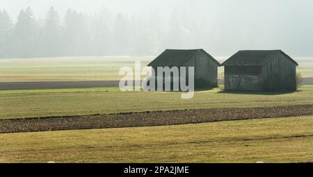 Vue sur la vallée de Praettigau, près de Klosters en Suisse, tôt le matin, avec des champs de ferme et des granges en bois et une forêt à la fin de l'automne Banque D'Images