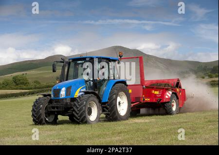 Tracteur avec épandeur de fumier étalant du fumier de poulet mélangé à de la chaux sur une prairie fraîchement récoltée, Angleterre, Royaume-Uni Banque D'Images