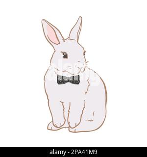 Illustration de joli lapin dessiné à la main Illustration de Vecteur