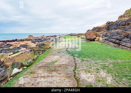 Une vue basse le long de la longue passerelle couverte de mousse verte dans la mer à Swanage Dorset à marée basse Banque D'Images