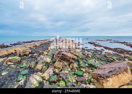 Vue à angle bas montrant le chemin de passage et les rochers recouverts de mousse à Swanage Dorset à marée basse Banque D'Images