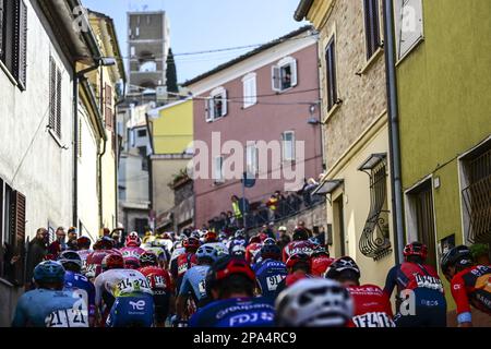 Le pack de cavaliers photographiés en action pendant la phase 6 de la course de vélo de Tirreno-Adriatico, à 194 km d'Osimo Stazione à Osimo, en Italie, le samedi 11 mars 2023. BELGA PHOTO DIRK WAEM crédit: Belga News Agency/Alay Live News Banque D'Images