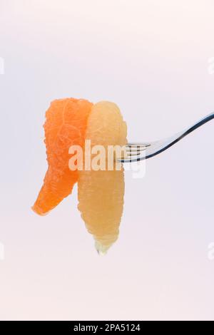 Différents segments de pamplemousse de couleur percés sur la fourchette, prêts à manger sur fond blanc. Banque D'Images