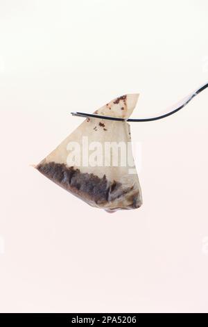 Sac de thé triangle usagé suspendu d'une fourchette sur fond blanc. Le sachet de thé est des pointes PG biodégradables usine à base sans plastique. Banque D'Images