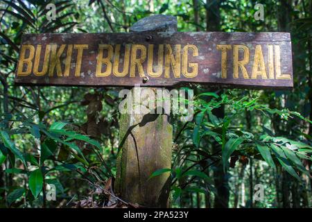 Parc national de Kinabalu, Sabah, Malaisie - 22 février 2023 : le sentier Bukit Burung est l'un des sentiers du parc national de Kinabalu offrant des vues sur le mont Banque D'Images