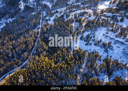 Une scène hivernale pittoresque dans les montagnes avec un sentier sinueux entouré de neige et de grands arbres couverts d'une couverture de blanc Banque D'Images