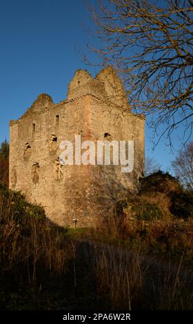 Les ruines de château de Newark dans la région des Scottish Borders Banque D'Images