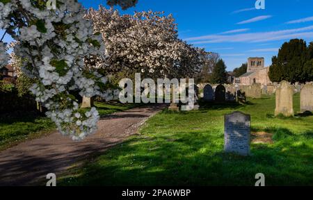 Église Saint-Cuthberts, Norham Banque D'Images