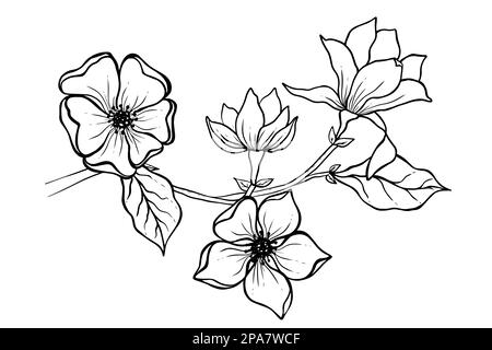 Illustration de la fleur de Magnolia. Noir et blanc avec dessin au trait Illustration de Vecteur