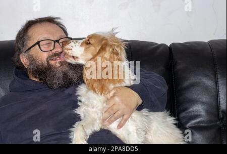 Chien d'épagneul léchant le visage d'un homme âgé avec une barbe Banque D'Images