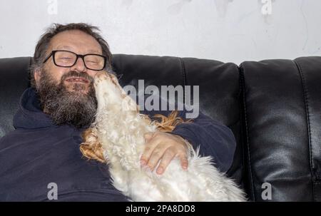 Chien d'épagneul léchant le visage d'un homme âgé avec une barbe assise sur un canapé en cuir noir Banque D'Images