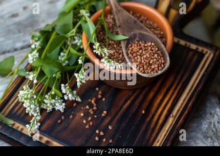 Une cuillerée en bois de sarrasin frit sur une plaque en argile pleine de céréales sèches avec gluten. Fleurs de sarrasin frais en fleurs, une bonne plante de miel. Régime alimentaire gr Banque D'Images