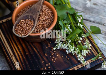 Une cuillerée en bois de sarrasin frit sur une plaque en argile pleine de céréales sèches avec gluten. Fleurs de sarrasin frais en fleurs, une bonne plante de miel. Régime alimentaire gr Banque D'Images