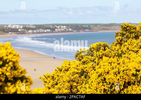 Filey Beach, Hunmanby Gap, North Yorkshire, Angleterre Banque D'Images