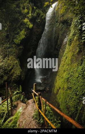 Cascade de la Golondrinas à Cuetzalan Puebla Banque D'Images